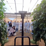 Participantes en taller de digitalizaci&oacute;n en invernadero con plantas