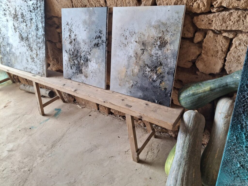 Taller de Victoria Canals con obras y elementos naturales