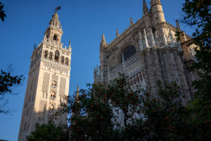 Vista de la Giralda y la Catedral de Sevilla con naranjos