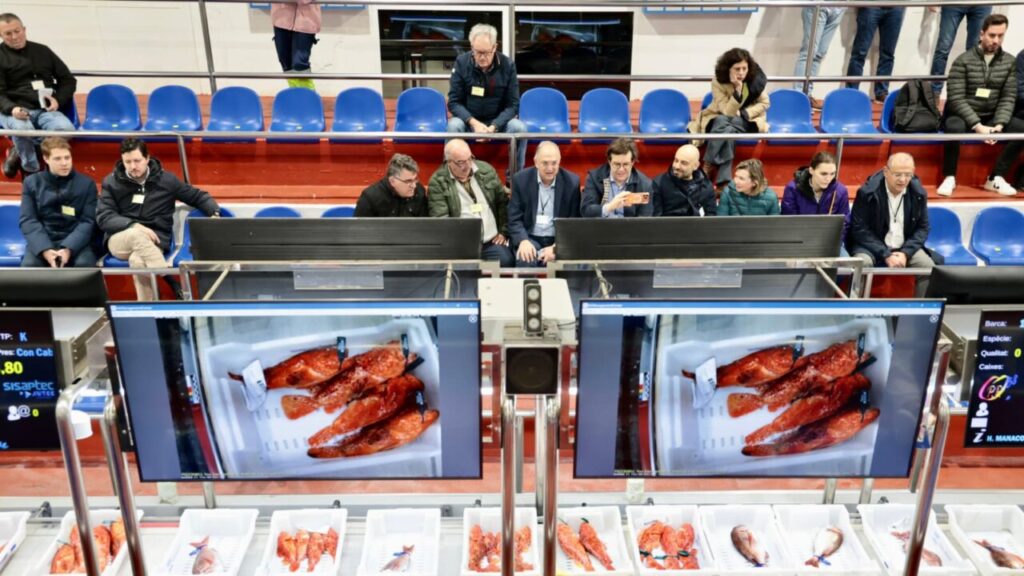 Los pescadores baleares piden a Europa que tenga en cuenta la insularidad