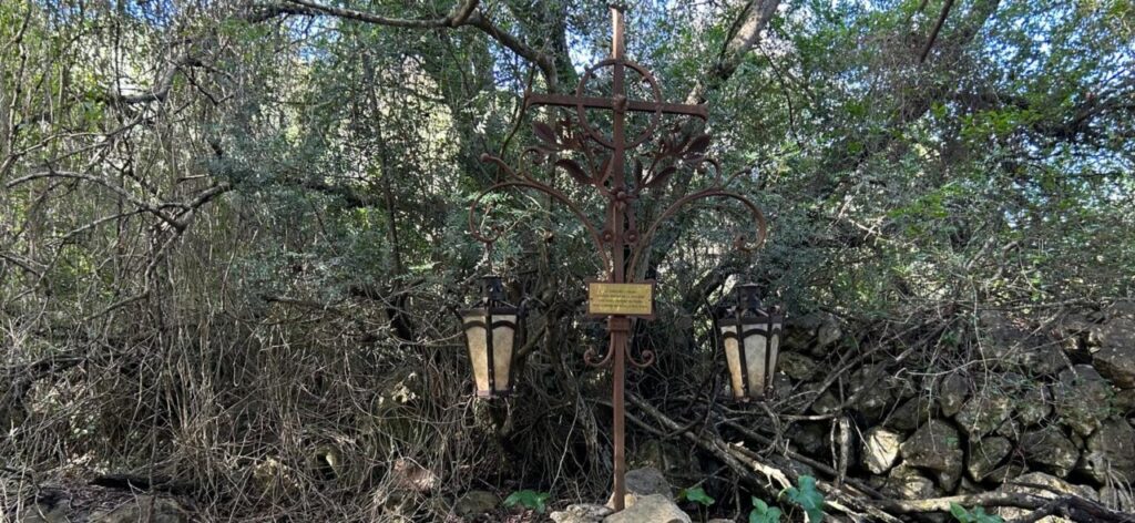 Un poema de Mart&iacute;n March en la naturaleza