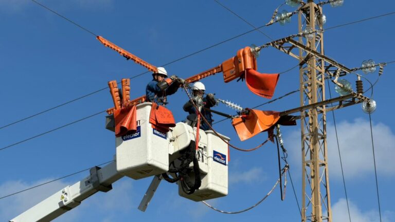 Trabajadores en una gr&uacute;a realizando mantenimiento en l&iacute;neas el&eacute;ctricas en Baleares.