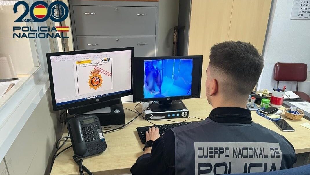 Cuatro detenidos por apu&ntilde;alar a dos j&oacute;venes a la salida de una discoteca en Palma