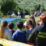 Ni&ntilde;os observando una actividad educativa sobre bosques en Mallorca