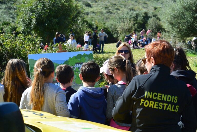 Niños observando una actividad educativa sobre bosques en Mallorca