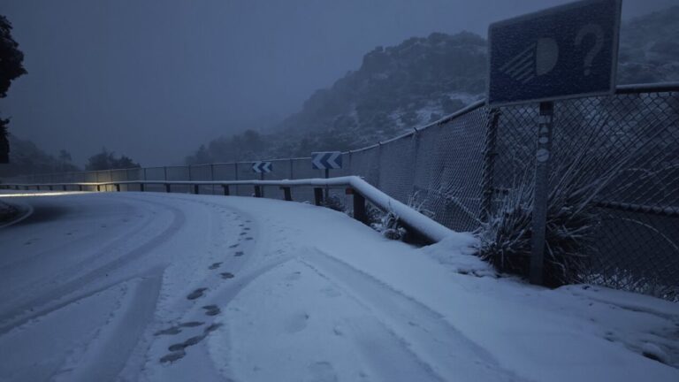 Camino cubierto de nieve en la Serra de Tramuntana
