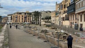 Vista de la plaza con &aacute;rboles talados y cercas de obra