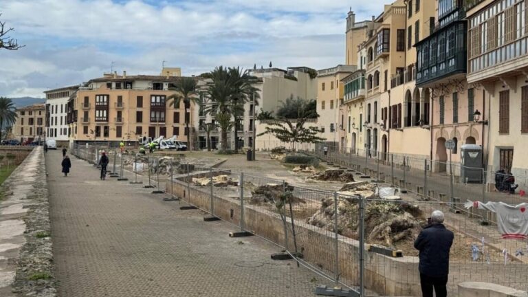 Vista de la plaza con &aacute;rboles talados y cercas de obra