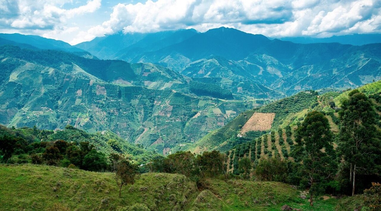 Vista panor&aacute;mica de un paisaje cafetero en Colombia con monta&ntilde;as y cultivos.