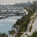 Vista del Paseo Mar&iacute;timo en Palma con yates y palmeras