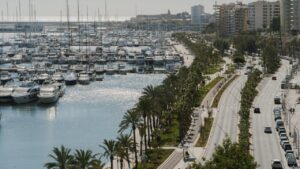 Vista del Paseo Mar&iacute;timo en Palma con yates y palmeras
