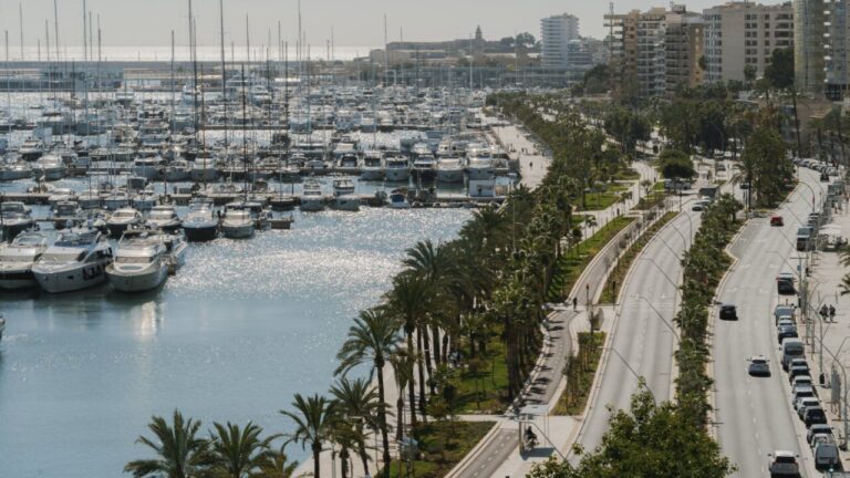 Vista del Paseo Mar&iacute;timo en Palma con yates y palmeras