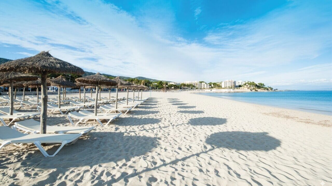Playa Es Carregador en Palmanova con sombrillas y hamacas