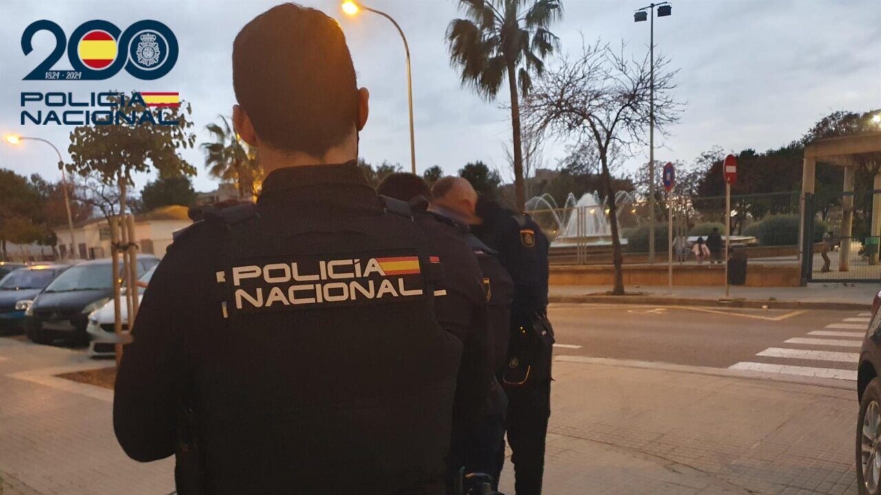 Agentes de la Polic&iacute;a Nacional en Palma durante una detenci&oacute;n