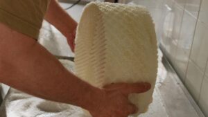 Proceso de elaboraci&oacute;n de queso en una f&aacute;brica de Baleares