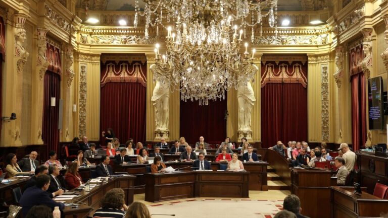 Vista del Parlament de Baleares durante una sesi&oacute;n plenaria sobre migrantes.