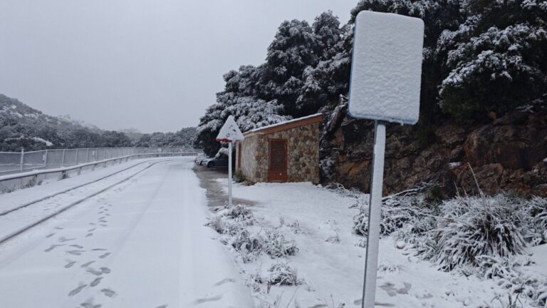 Paisaje nevado en Mallorca con se&ntilde;ales de tr&aacute;fico cubiertas de nieve