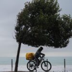 Ciclista bajo un &aacute;rbol en una costa con viento fuerte