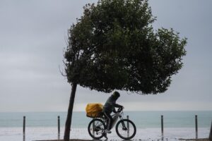 Ciclista bajo un &aacute;rbol en una costa con viento fuerte