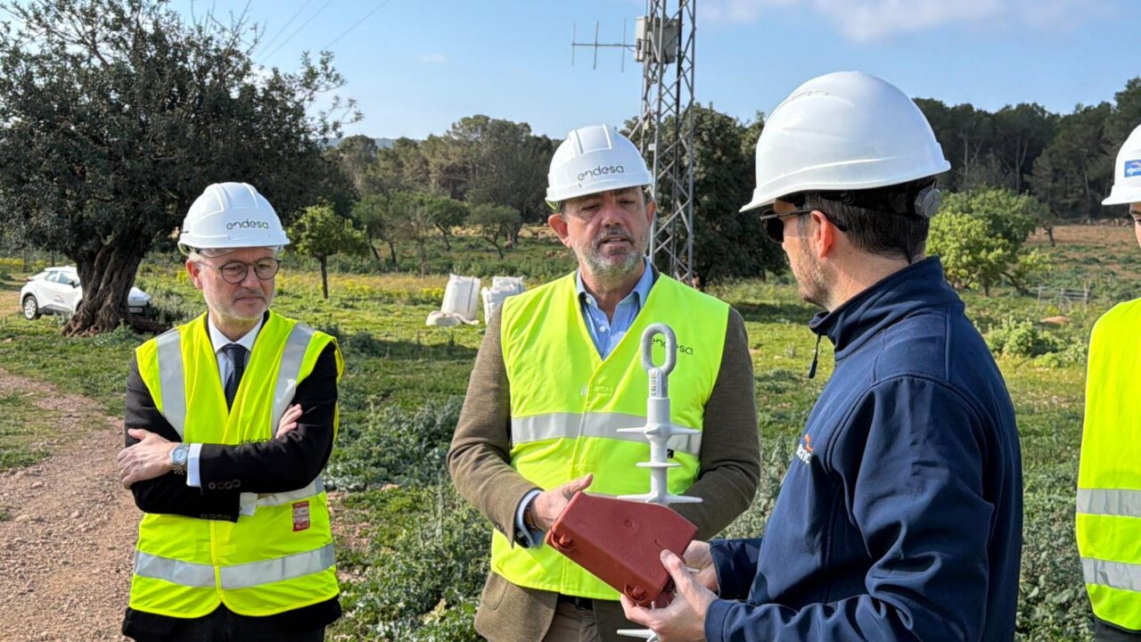 Visita a obras de adaptaci&oacute;n de apoyos el&eacute;ctricos para proteger aves en Baleares