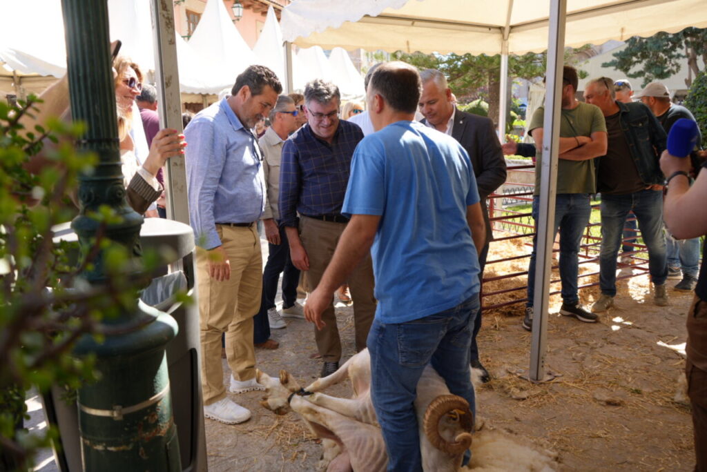 Personas observando la feria de ovejas y cabras en Calvià