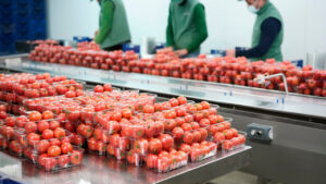 Las compras de Mercadona a proveedores baleares superaron los 180 millones de euros en 2025