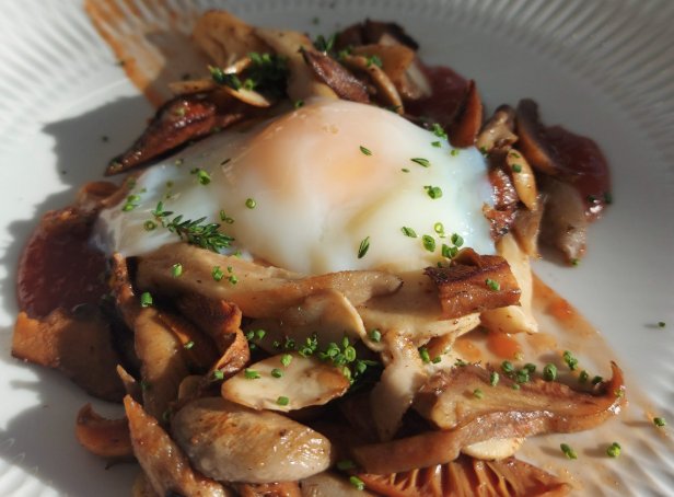 Plato del Restaurante Bruno Port Calanova con huevo y setas