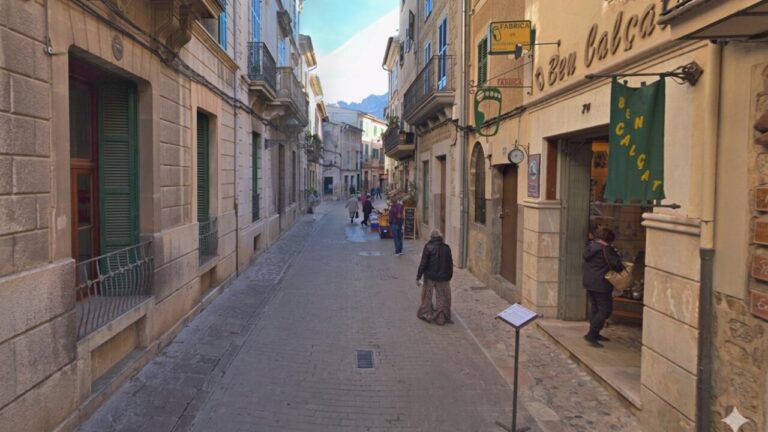 Detenidos dos carteristas reincidentes tras ser pillados tres veces en una hora en S&oacute;ller