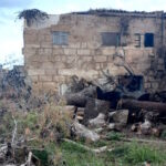 Vista de un solar con restos de un incendio y vegetaci&oacute;n en Palma