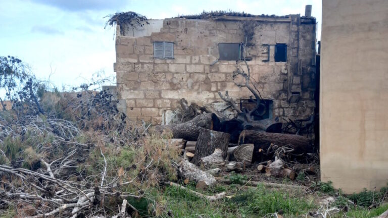Vista de un solar con restos de un incendio y vegetaci&oacute;n en Palma