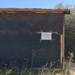 Chabola en un asentamiento en Eivissa con un cartel de desalojo