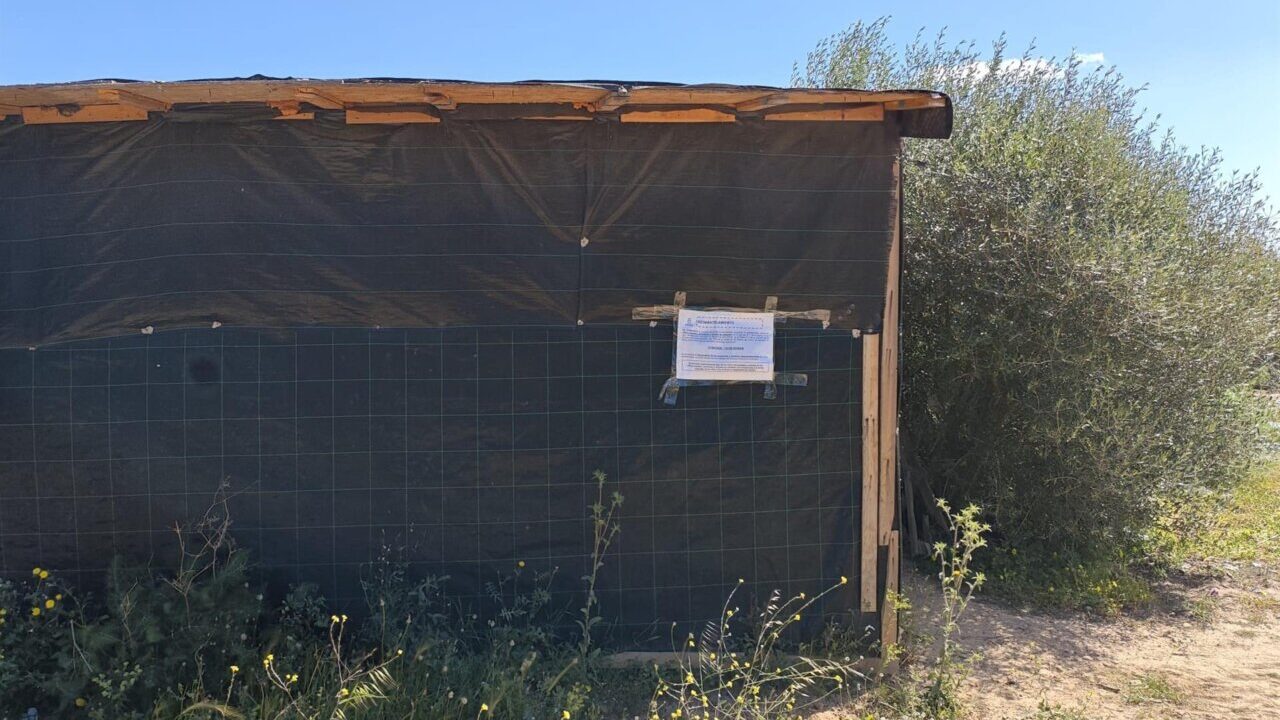 Chabola en un asentamiento en Eivissa con un cartel de desalojo