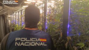 Agente de la Polic&iacute;a Nacional en una plantaci&oacute;n de marihuana con luces