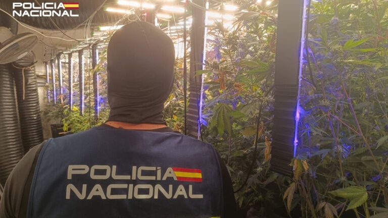 Agente de la Polic&iacute;a Nacional en una plantaci&oacute;n de marihuana con luces