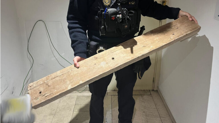 Destrozos en cadena a golpe de tabl&oacute;n en la madrugada palmesana