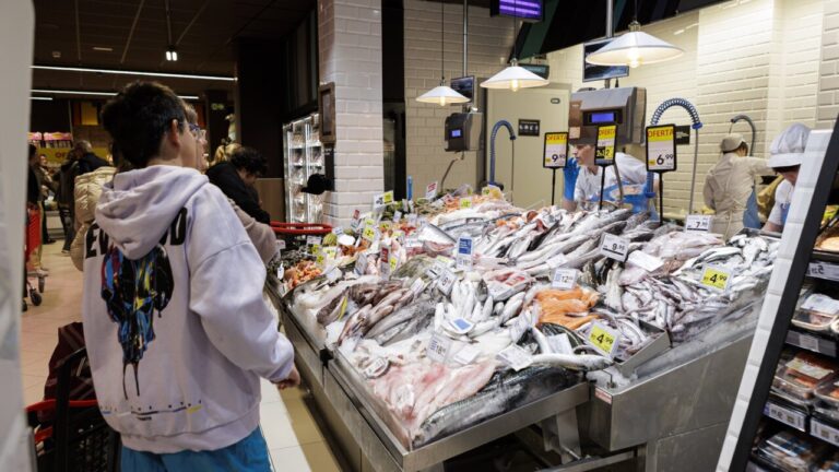 Ni&ntilde;o observando la secci&oacute;n de pescado en un supermercado