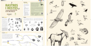 Gu&iacute;a para identificar rastros de fauna en los bosques de Baleares