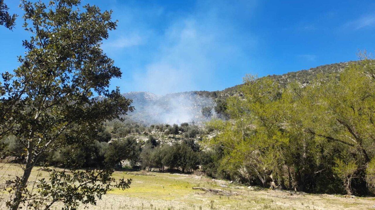 Vista de un incendio forestal en Orient con humo y vegetaci&oacute;n