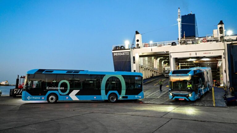 Seis nuevos autobuses el&eacute;ctricos llegan al puerto de Palma