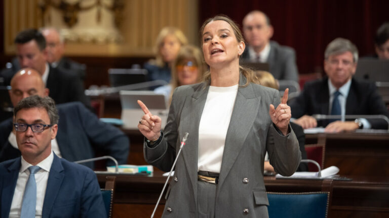 Mujer hablando en el parlamento durante una sesi&oacute;n de debate