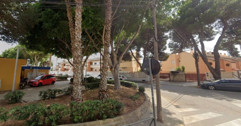 Vista de la zona de Platja d'en Bossa con &aacute;rboles y veh&iacute;culos