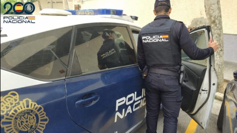 Detenida por reventar ventanillas para robar en nueve coches en Playa de Palma