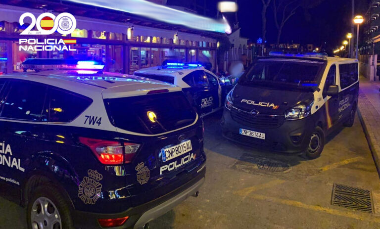 Veh&iacute;culos de la Polic&iacute;a Nacional en una intervenci&oacute;n nocturna en Palma