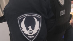 Un polic&iacute;a de Palma frena en seco a un conductor temerario lanz&aacute;ndose sobre su furgoneta