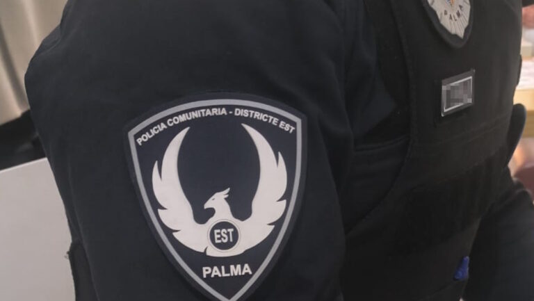 Un polic&iacute;a de Palma frena en seco a un conductor temerario lanz&aacute;ndose sobre su furgoneta