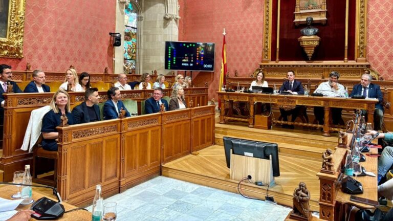 Pleno extraordinario en el Consell de Mallorca sobre ayudas sociales