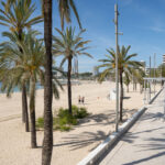 Vista del nuevo paseo marítimo en Magaluf con palmeras y playa