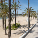 Vista del nuevo paseo mar&iacute;timo en Magaluf con palmeras y playa