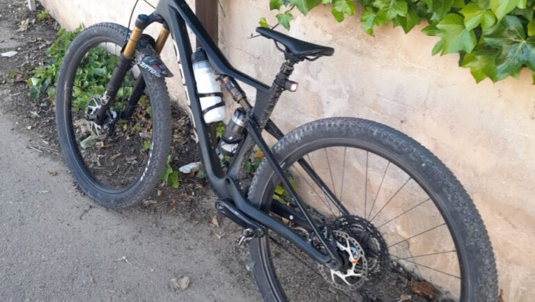 Bicicleta apoyada contra una pared cubierta de hojas verdes