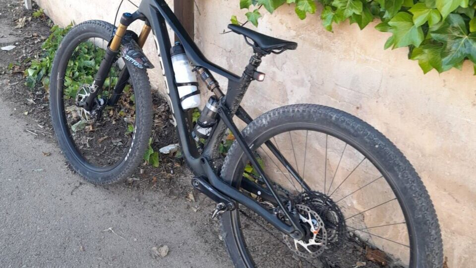 Bicicleta apoyada contra una pared cubierta de hojas verdes
